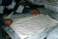 Fase 5